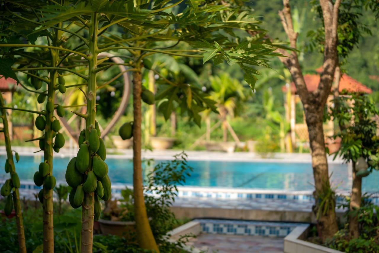 Tan Dinh Farmstay Νιν Μπιν Εξωτερικό φωτογραφία