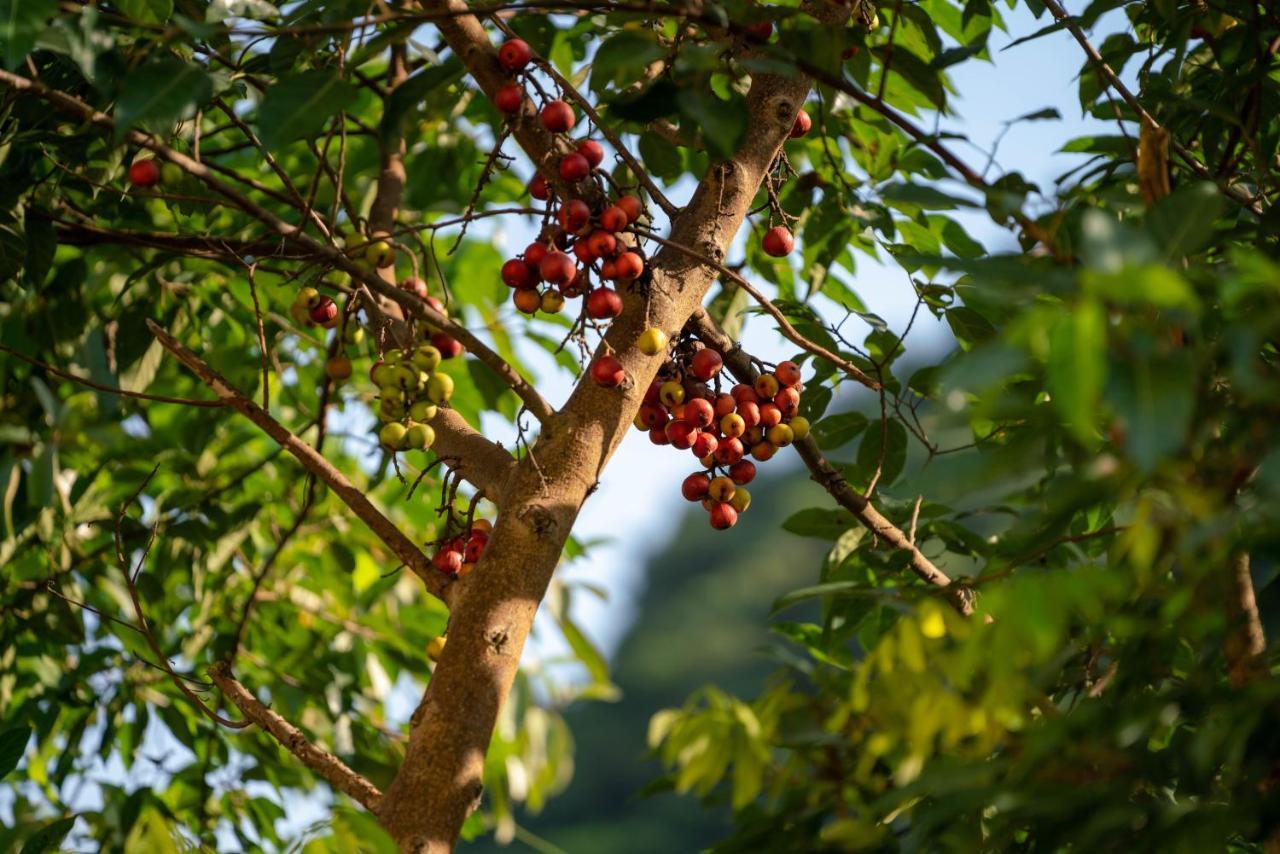Tan Dinh Farmstay Νιν Μπιν Εξωτερικό φωτογραφία
